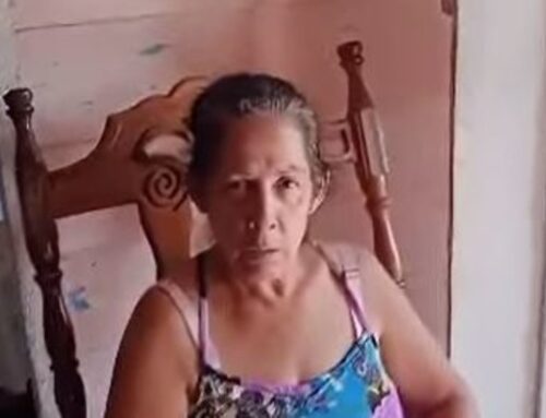 SOLO PUEDO COMPRAR ACEITE Y AJOS