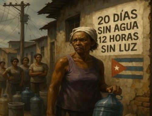 20 DÍAS SIN AGUA Y 12 HORAS DIARIAS SIN ELECTRICIDAD