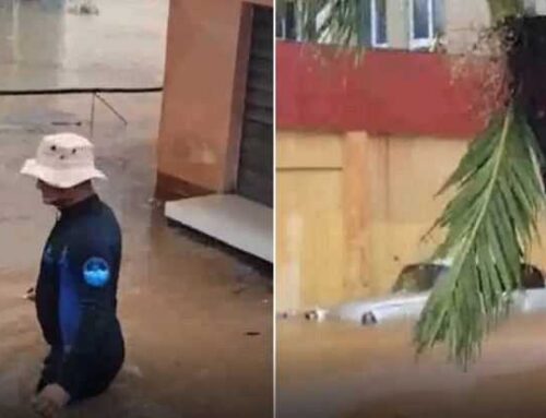 ¿LA VITALIDAD? O LA REALIDAD DEL HOSPITAL LENIN